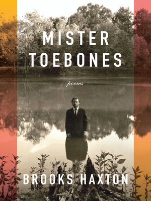 cover image of Mister Toebones